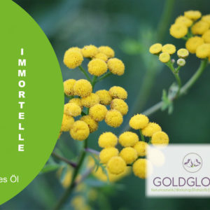 Immortelle HP